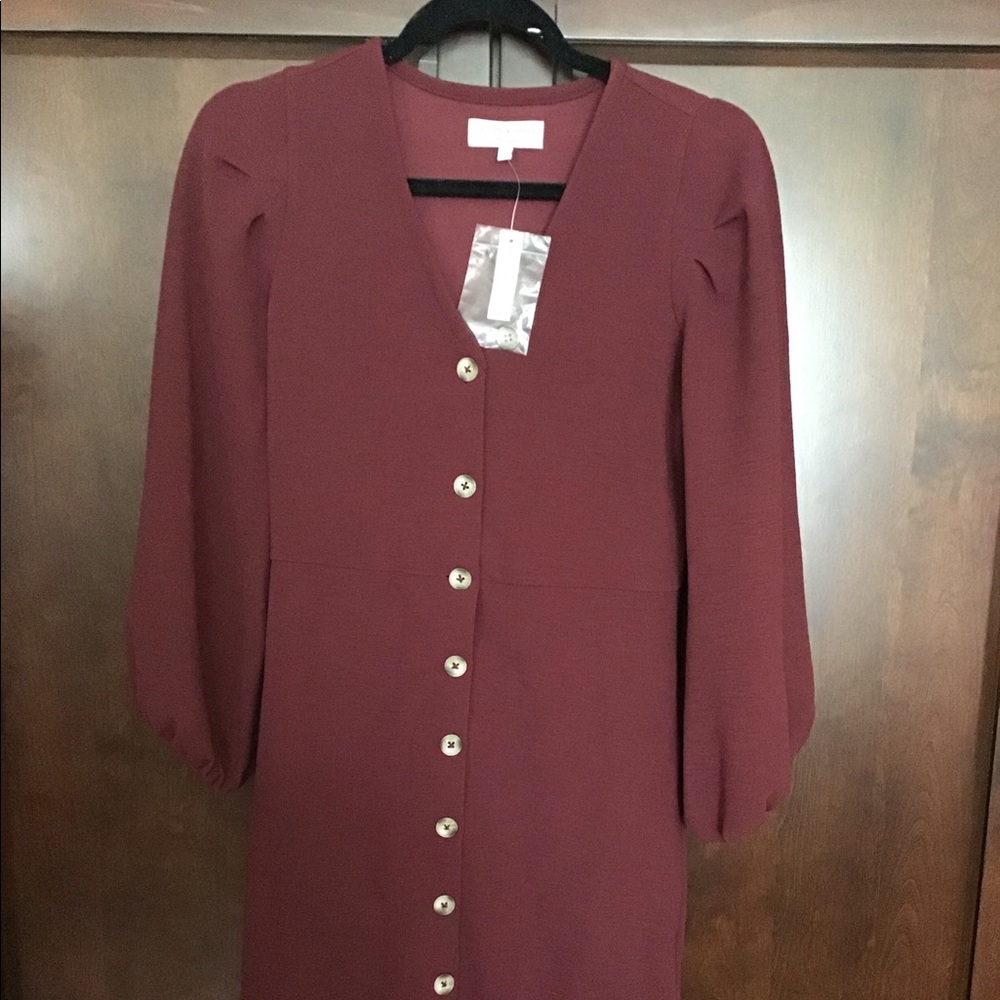 Beautiful Ballon sleeve dress